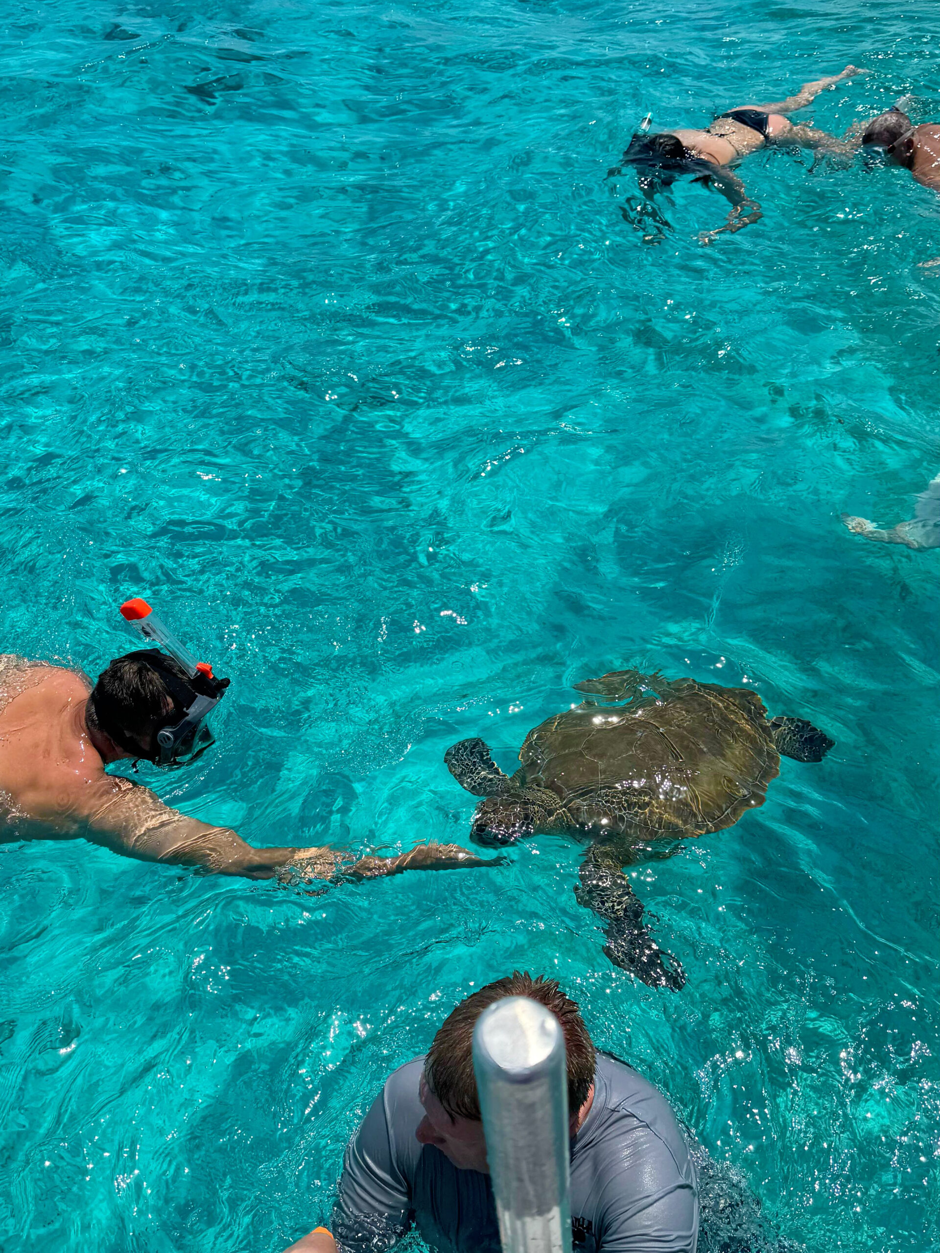 Cayman Ocean Adventures